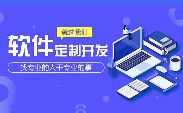 系統軟件平台等定制開發