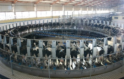 組圖:内蒙古乳品生(shēng)産逐漸恢複正常